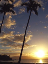 Daydreaming of beautiful Hawaii...