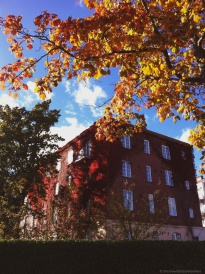Autumnal view of trees and a building